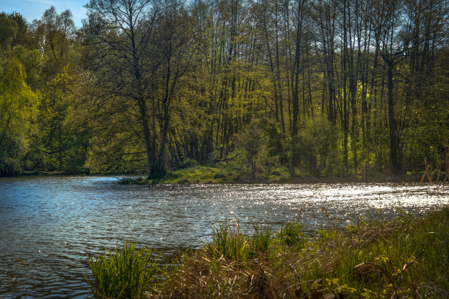 Обои картинки фото природа, реки, озера, лес, река