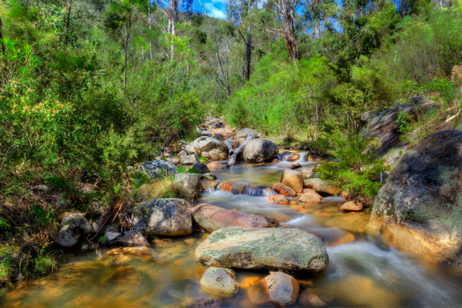 Обои картинки фото природа, реки, озера, река, лес