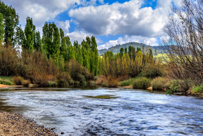 Обои картинки фото природа, реки, озера, река, лес