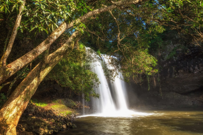 Обои картинки фото природа, водопады, водопад, река, лес