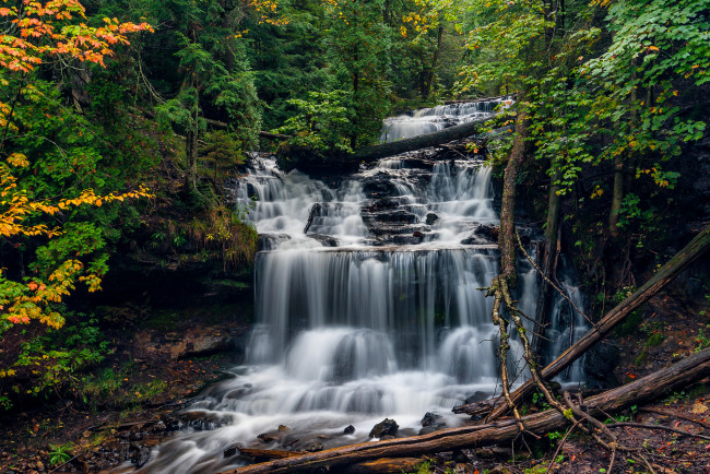 Обои картинки фото природа, водопады, водопад, река, лес