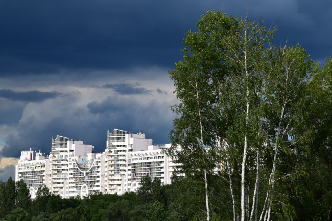 Обои картинки фото воронеж, города, - здания,  дома, березы, здания, тучи