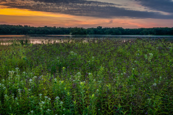 Картинка природа луга простор