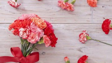 Картинка цветы гвоздики букет гвоздика бант