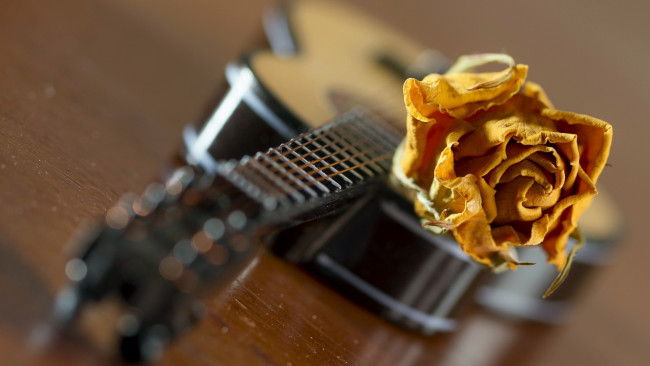 Обои картинки фото музыка, -музыкальные инструменты, гитара, цветок