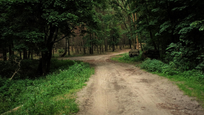 Обои картинки фото природа, дороги, дорога, лес