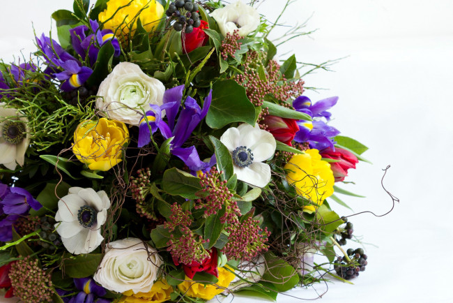 Обои картинки фото цветы, букеты,  композиции, анемоны, ирисы