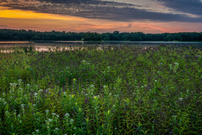 Обои картинки фото природа, луга, простор