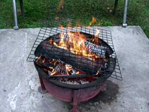 Картинка природа огонь гриль