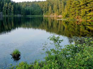 Картинка природа реки озера река