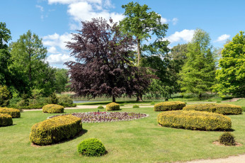 Картинка природа парк клумбы