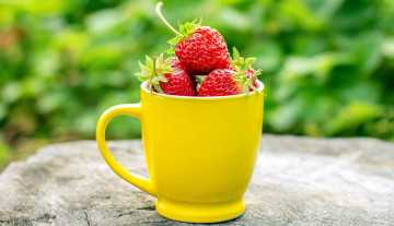 Картинка еда клубника +земляника