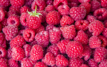 Картинка еда малина ягоды спелая