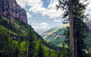 Картинка природа горы лес