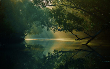 Картинка природа реки озера река