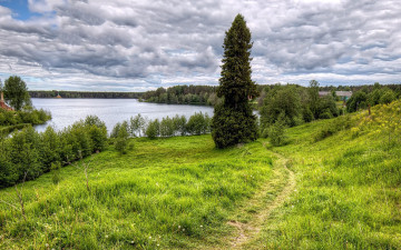Картинка природа реки озера тропинка луг река