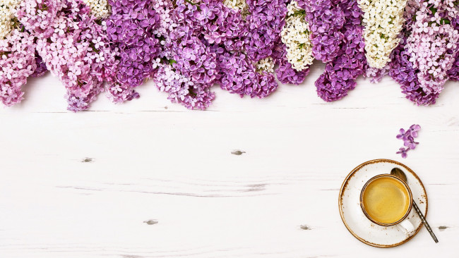 Обои картинки фото еда, кофе,  кофейные зёрна