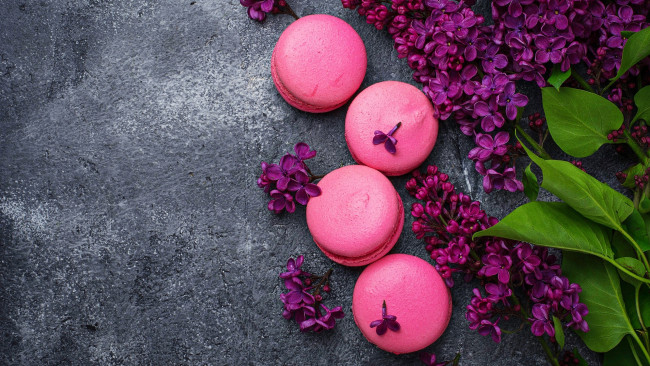 Обои картинки фото еда, макаруны, печенье, лакомство