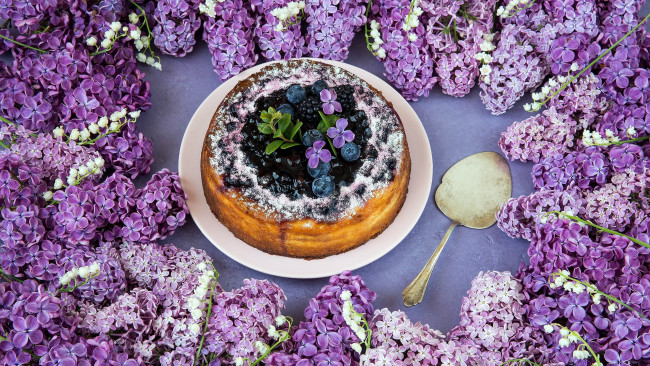 Обои картинки фото еда, пироги, черника, ежевика, пирог, сирень