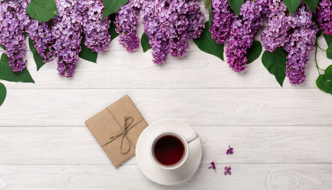 Обои картинки фото еда, кофе,  кофейные зёрна