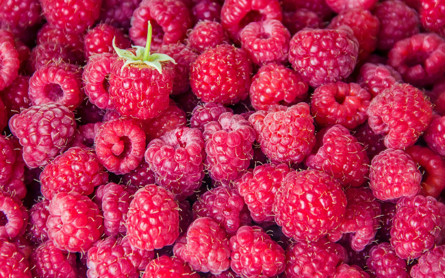 Обои картинки фото еда, малина, ягоды, спелая