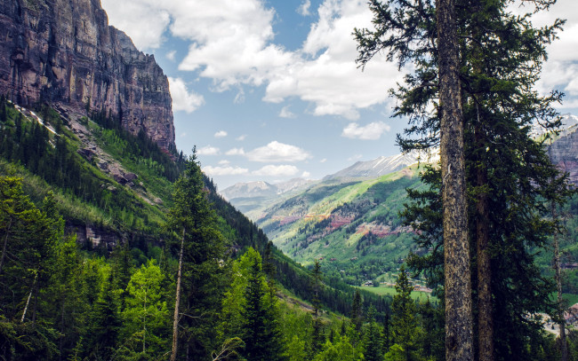 Обои картинки фото природа, горы, лес