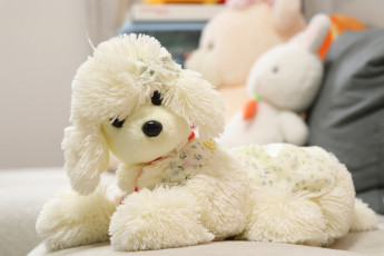 Картинка разное игрушки плюшевая собачка