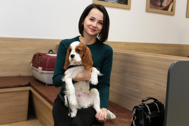 Обои картинки фото девушки, - брюнетки,  шатенки, брюнетка, свитер, собака, диван, сумка, переноска