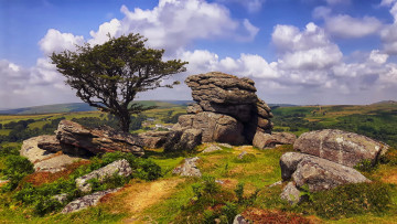 обоя dartmoor, england, природа, пейзажи