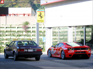 Картинка автомобили разные вместе