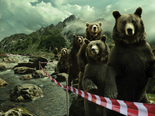 Картинка юмор приколы