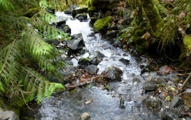 Обои картинки фото природа, реки, озера