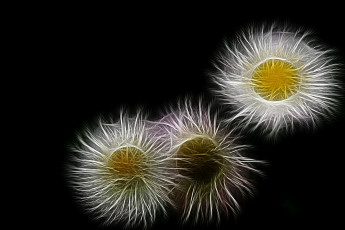 Картинка 3д графика flowers цветы