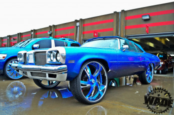 Картинка автомобили выставки уличные фото default