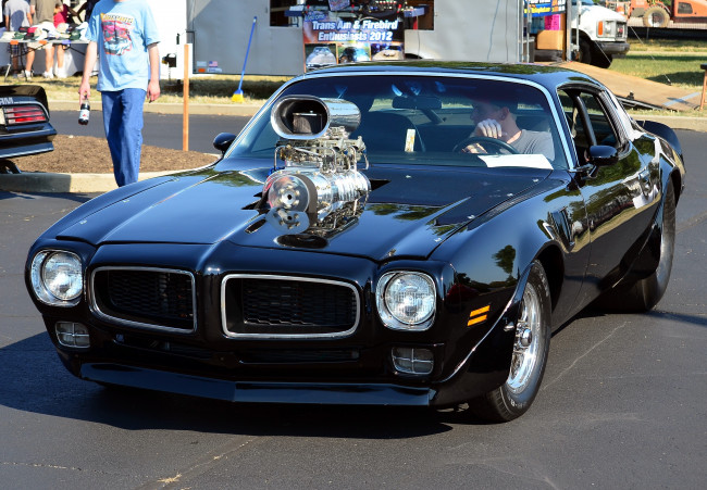 Обои картинки фото 1975, pontiac, firebird, trans, am, автомобили, выставки, уличные, фото, muscle, car