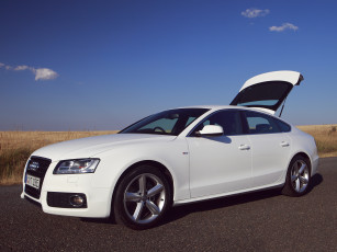 Картинка автомобили audi светлый quattro tdi au-spec s-line sportback a5 3-0