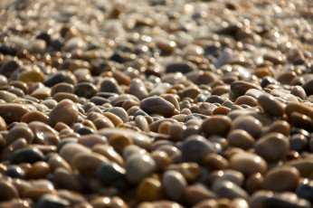 Картинка природа камни +минералы галька много камешки