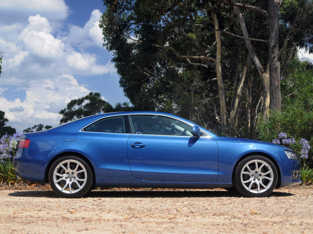 Обои картинки фото автомобили, audi, 3-2, a5, coupе, au-spec, синий