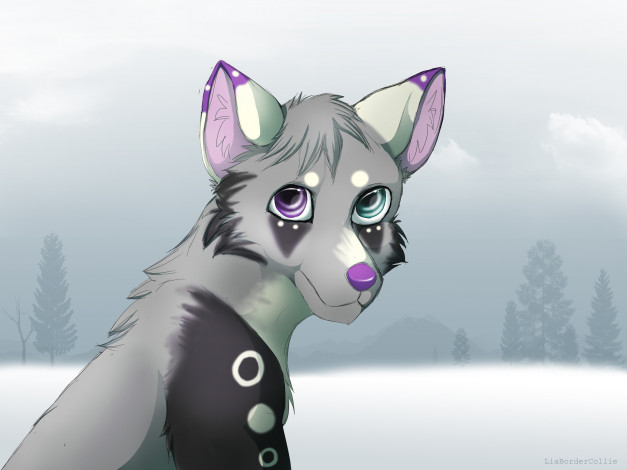 Обои картинки фото рисованные, животные,  собаки, собака