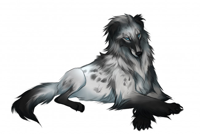 Обои картинки фото рисованные, животные,  собаки, собака, взгляд