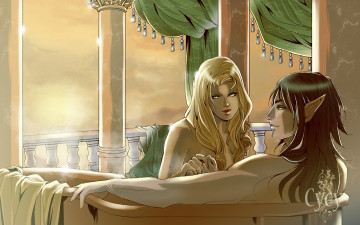 Картинка фэнтези эльфы девушка блондинка брюнет эльф ванна laufey любовь пара
