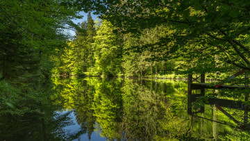 Картинка природа реки озера лес река