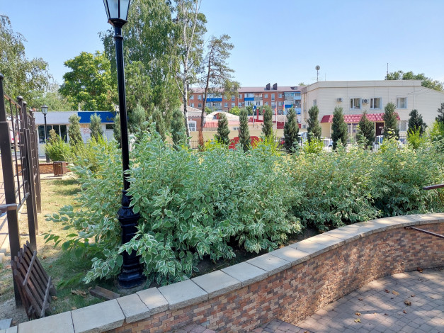 Обои картинки фото славянск-на-кубани, города, - памятники,  скульптуры,  арт-объекты, парк