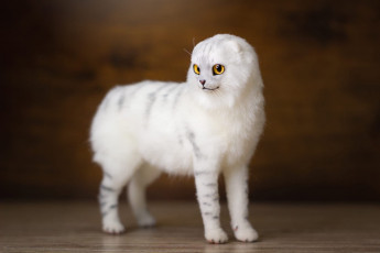 Картинка разное игрушки кот белый