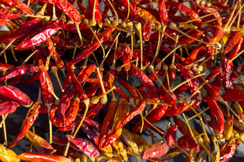 Картинка еда перец стручки чили