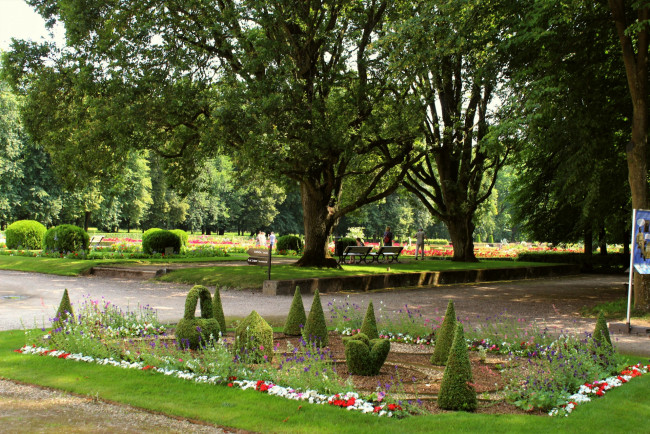 Обои картинки фото lublin province, poland, природа, парк, lublin, province