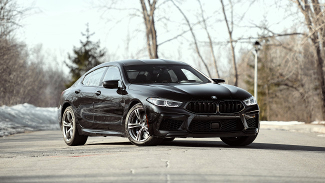 Обои картинки фото bmw m8, автомобили, bmw, черный, площадка, деревья
