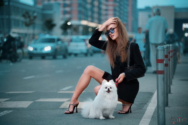 Обои картинки фото дама с собачкой, девушки, - брюнетки,  шатенки, девушка, женщина, шатенка, темноволосая, сексуальная, модель, звезда, позирует, разная, обувь, верхняя, стильная, одежда, нижнее, эротическое, бельё, трусы, лифчик, колготки, чулки, аксессуары, макияж, и, множество, элементов, на, фотографии