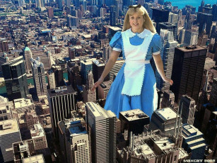 обоя юмор, приколы