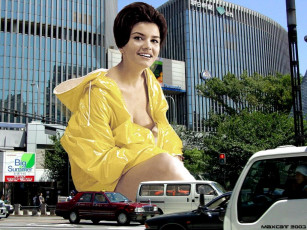 обоя юмор, приколы